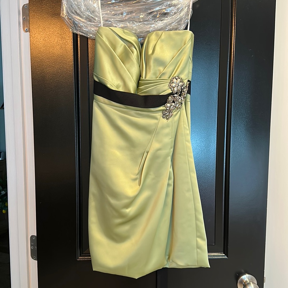 Sage green and black shirt dress